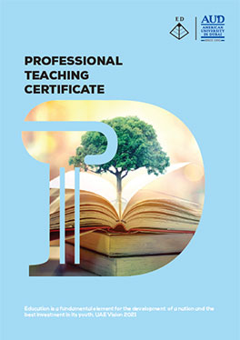 Professional Teaching Certificate