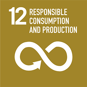 SDG12