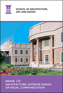 SAAD Minor Programs