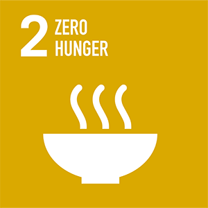 SDG2