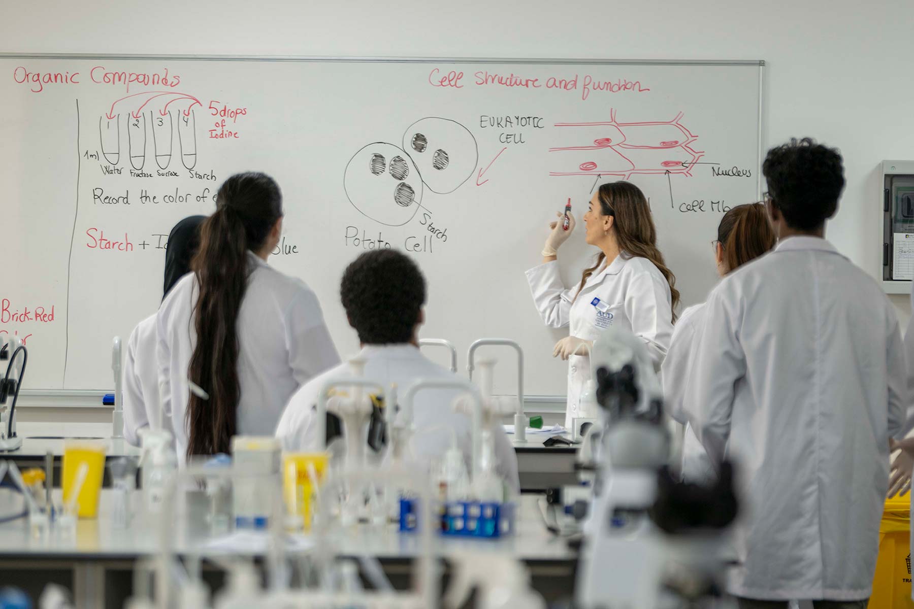 AUD awarded international research grant in collaboration with Mayo Clinic